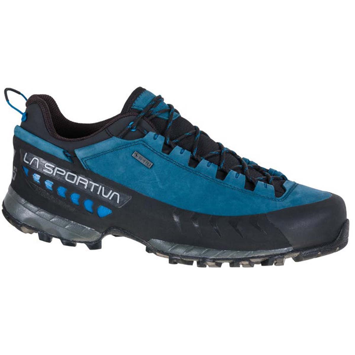 TX5 Low GTX Mens Hiking Shoes Blue