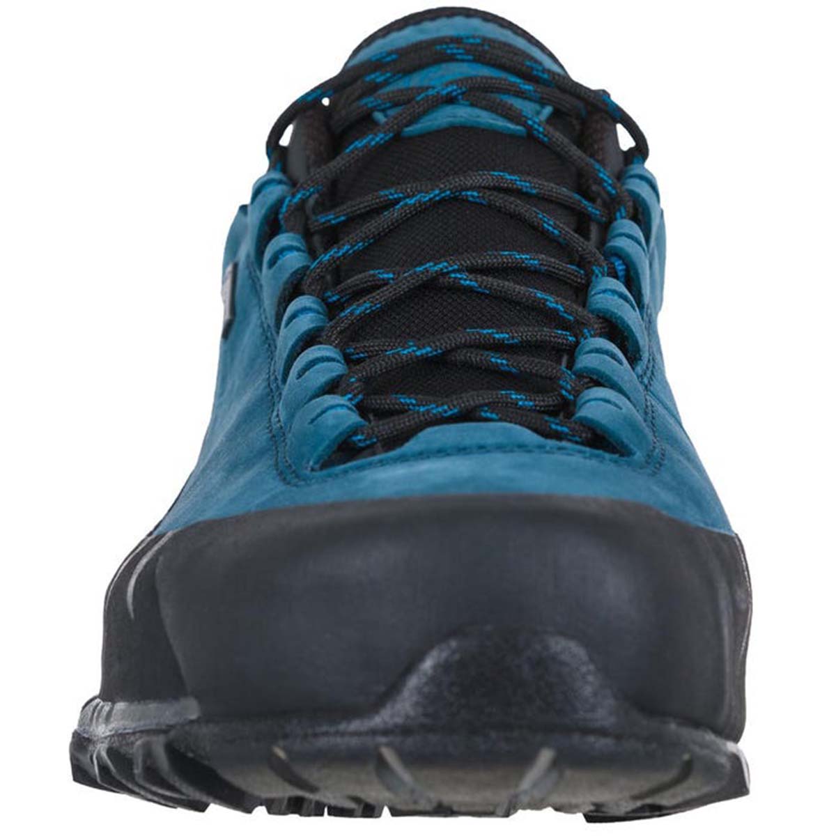 TX5 Low GTX Mens Hiking Shoes Blue