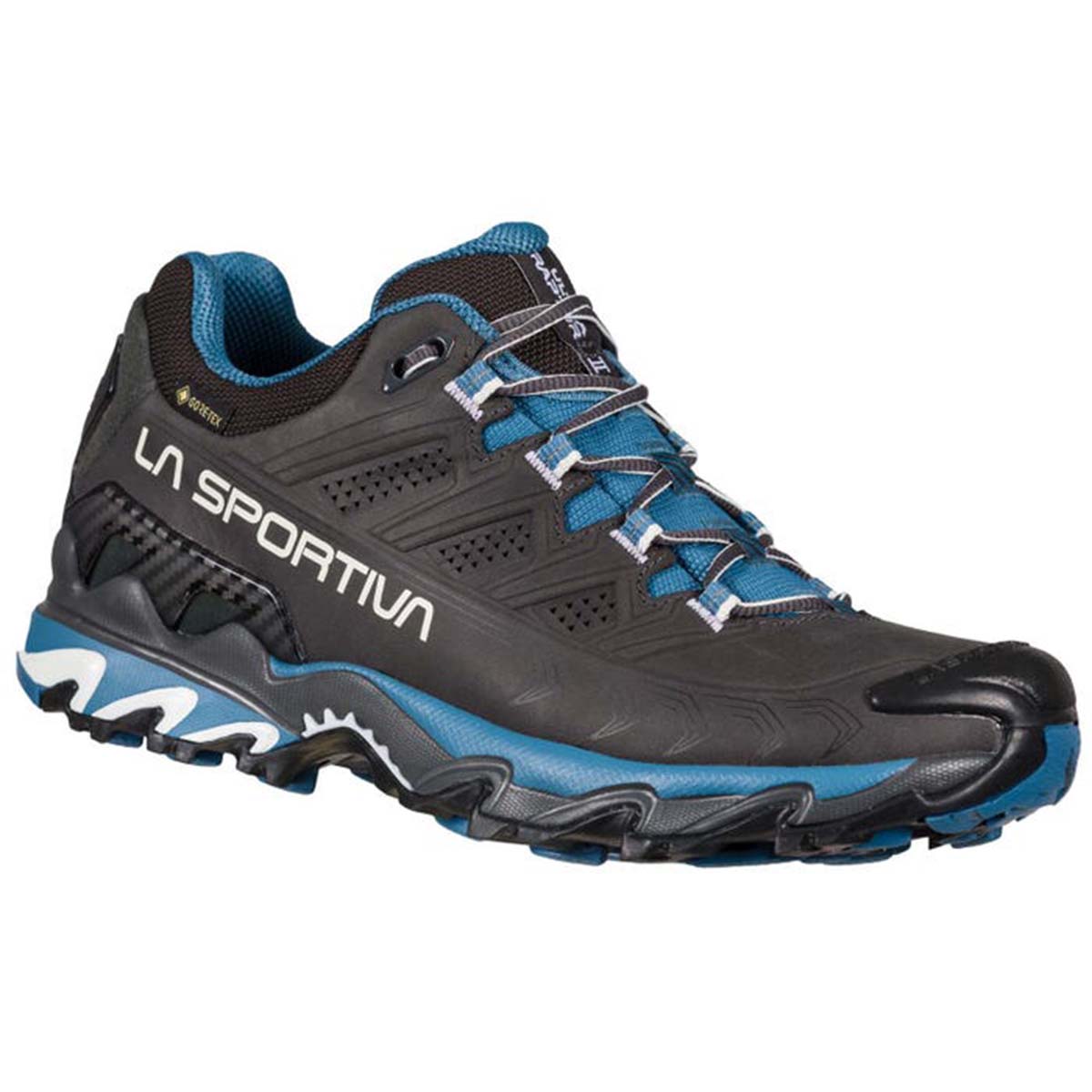 Ultra Raptor II Leather GTX Womens Hiking Shoes Grey