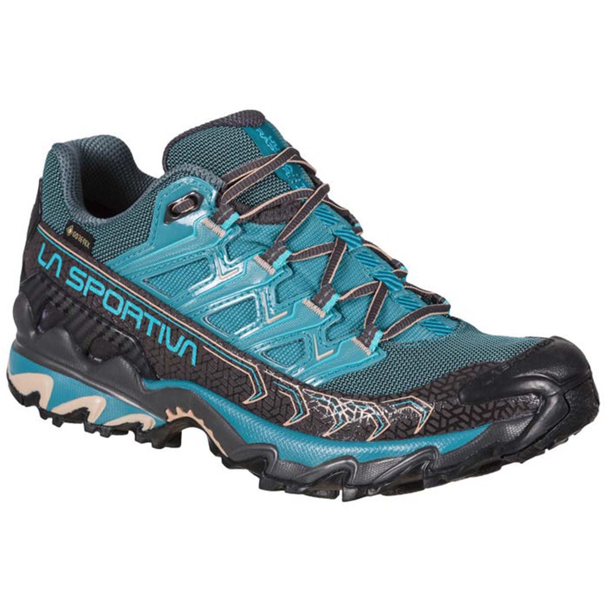 Ultra Raptor II GTX Womens Hiking Shoes Blue