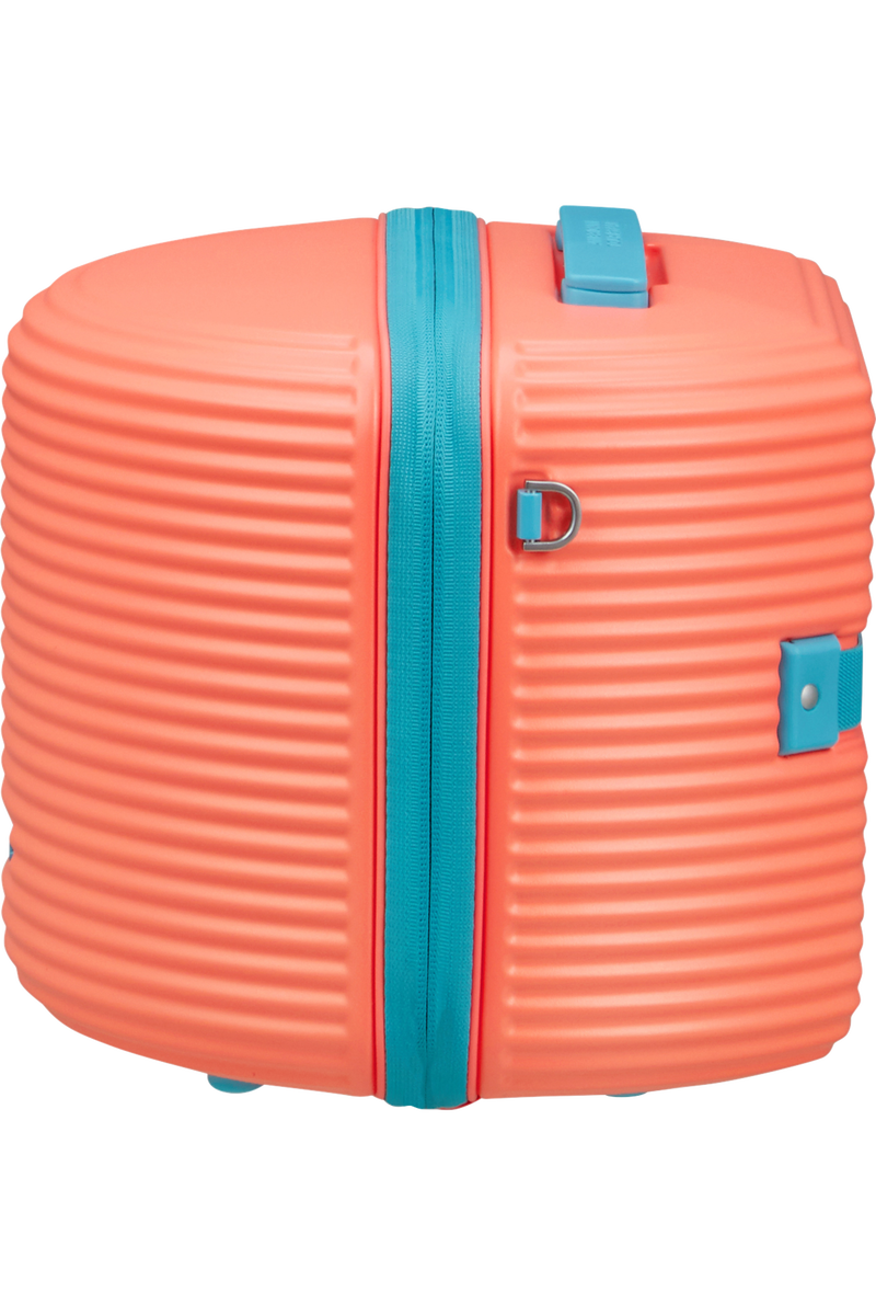 Rollio Beauty case
