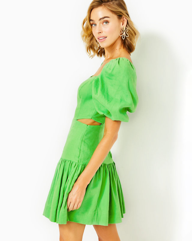 Kylanne Elbow Sleeve Linen Dress