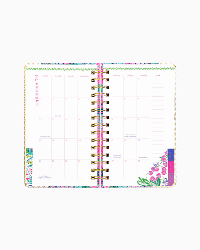 2023-2024 17 Month Medium Agenda