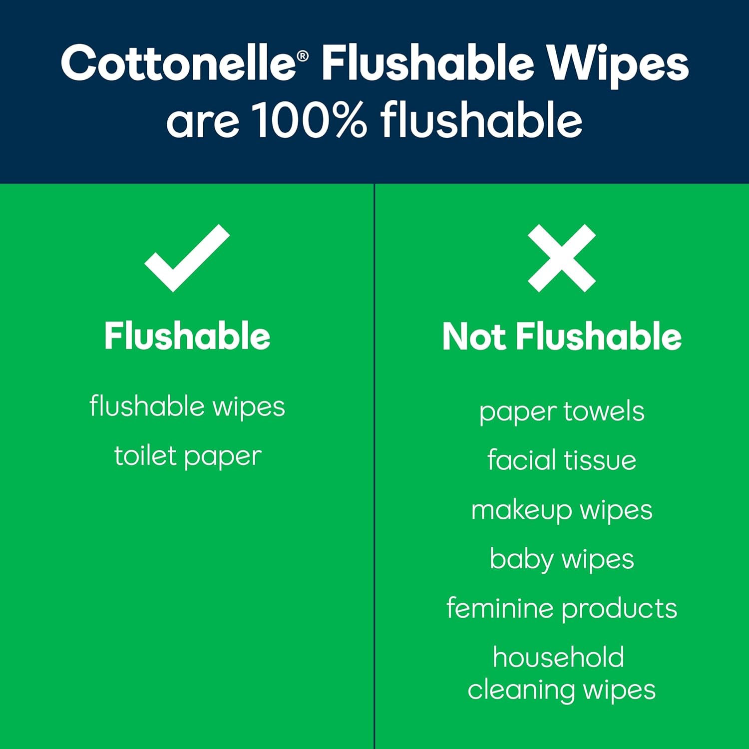 Cottonelle GentlePlus Flushable Wet Wipes with Aloe & Vitamin E, 6 Flip-Top Packs, 42 Wipes Per Pack (252 Total Wipes), Packaging May Vary