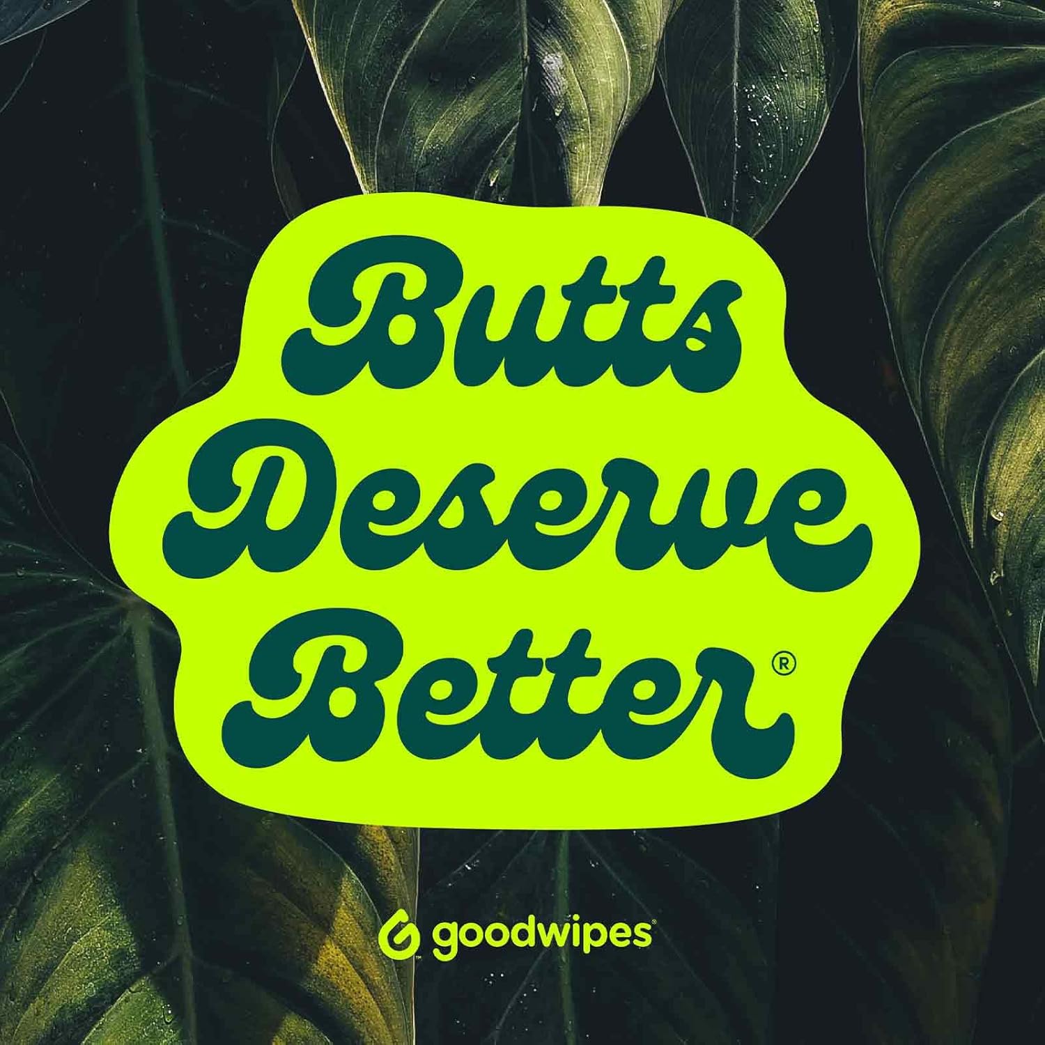 Goodwipes Flushable Butt Wipes Made w/Soothing Botanicals & Aloe – Soft & Gentle Wet Wipe Dispenser for Home Use, Septic & Sewer Safe – Largest Adult Toilet Wipes – Lavender, 360 count (6 packs)