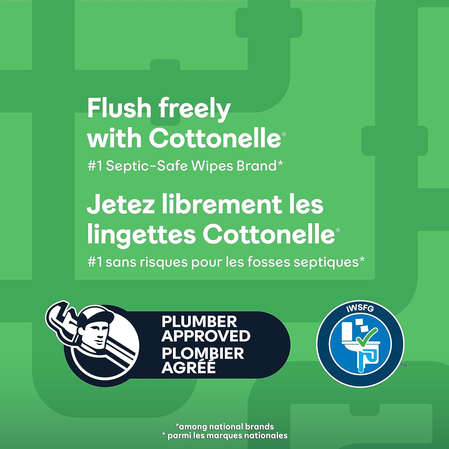 Cottonelle GentlePlus Flushable Wet Wipes with Aloe & Vitamin E, 6 Flip-Top Packs, 42 Wipes Per Pack (252 Total Wipes), Packaging May Vary