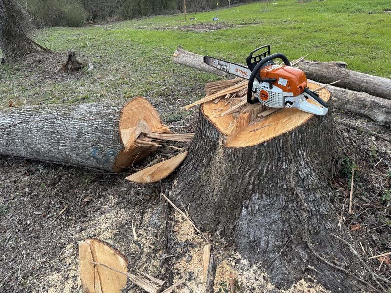 Used STIHL Farm Boss petrol chainsaw, limited winter sale
