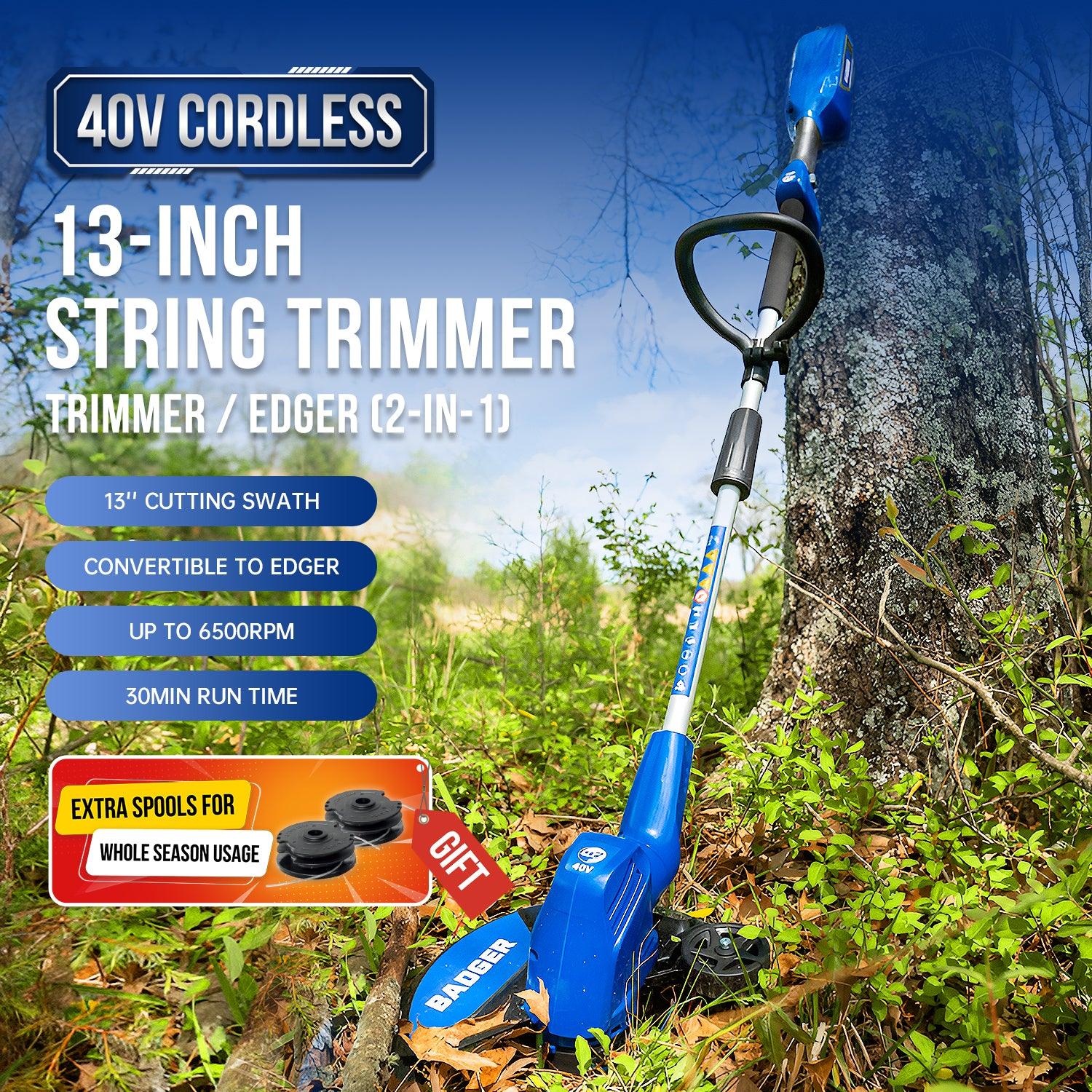Wild Badger 40v 13