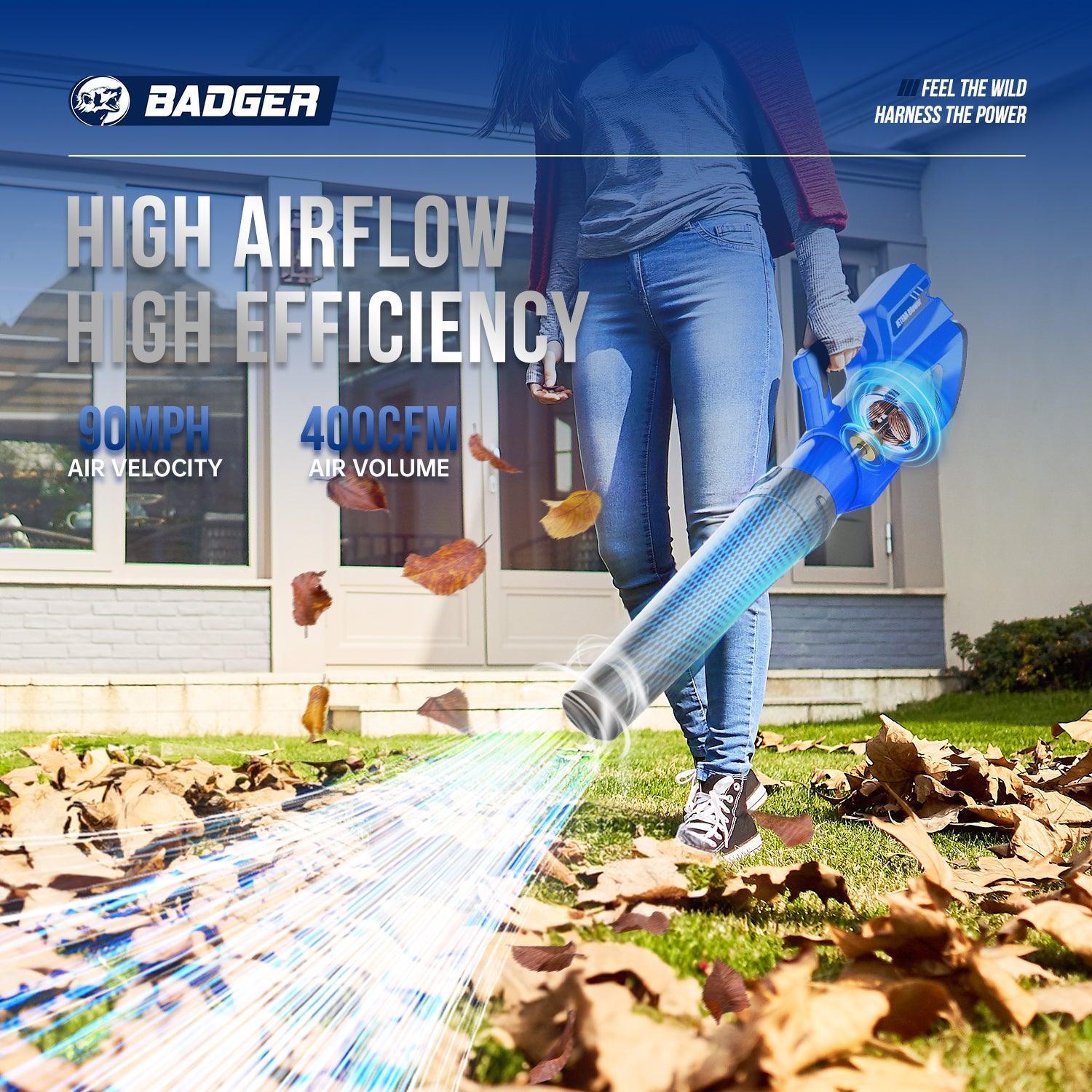 Wild Badger 40V Electric Weed Eater & Leaf Blower with 2Ah Battery & Charger