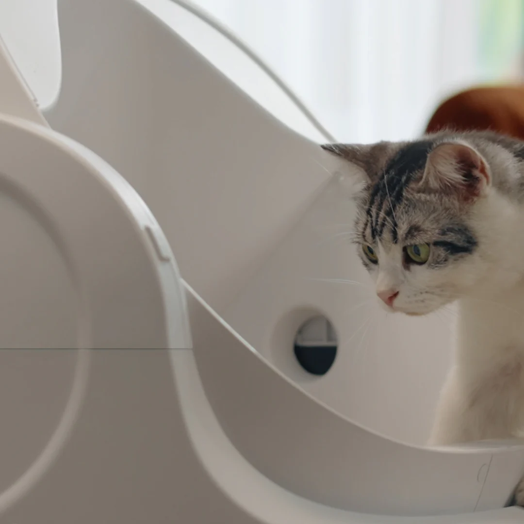 Autoscooper 11 Open-top Self-cleaning Smart Cat Litter Box-PetPivot