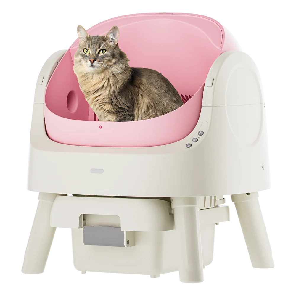 Autoscooper 11 Open-top Self-cleaning Smart Cat Litter Box-PetPivot