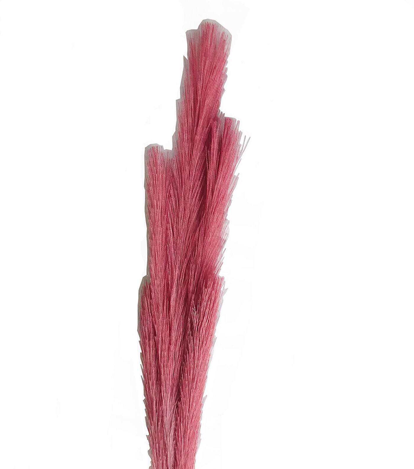 31 Burgundy Heather Stem by Bloom Room