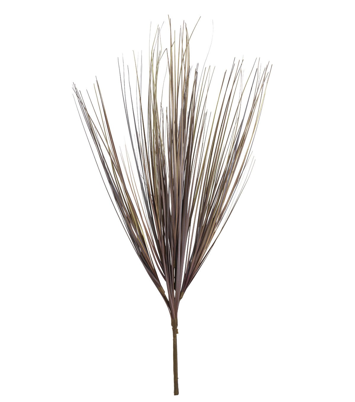 28 Brown Onion Grass Bush by Bloom Room