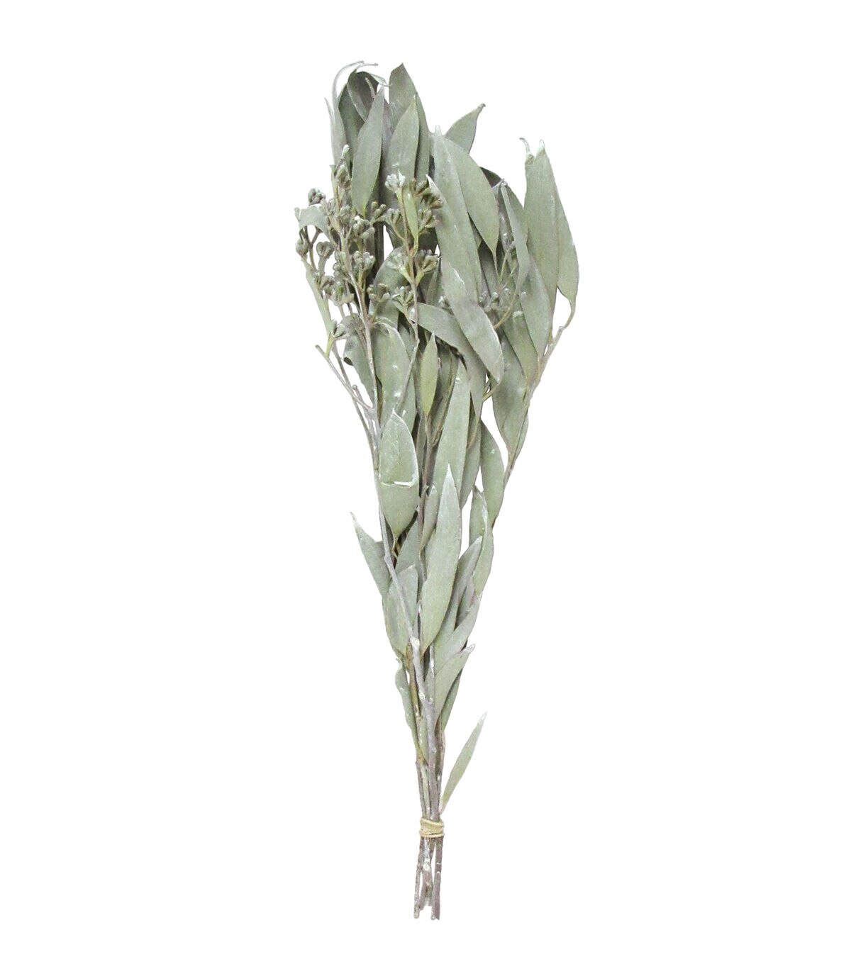 18 White Ashed Amber Fruit Dried Foliage Bouquet by Bloom Room