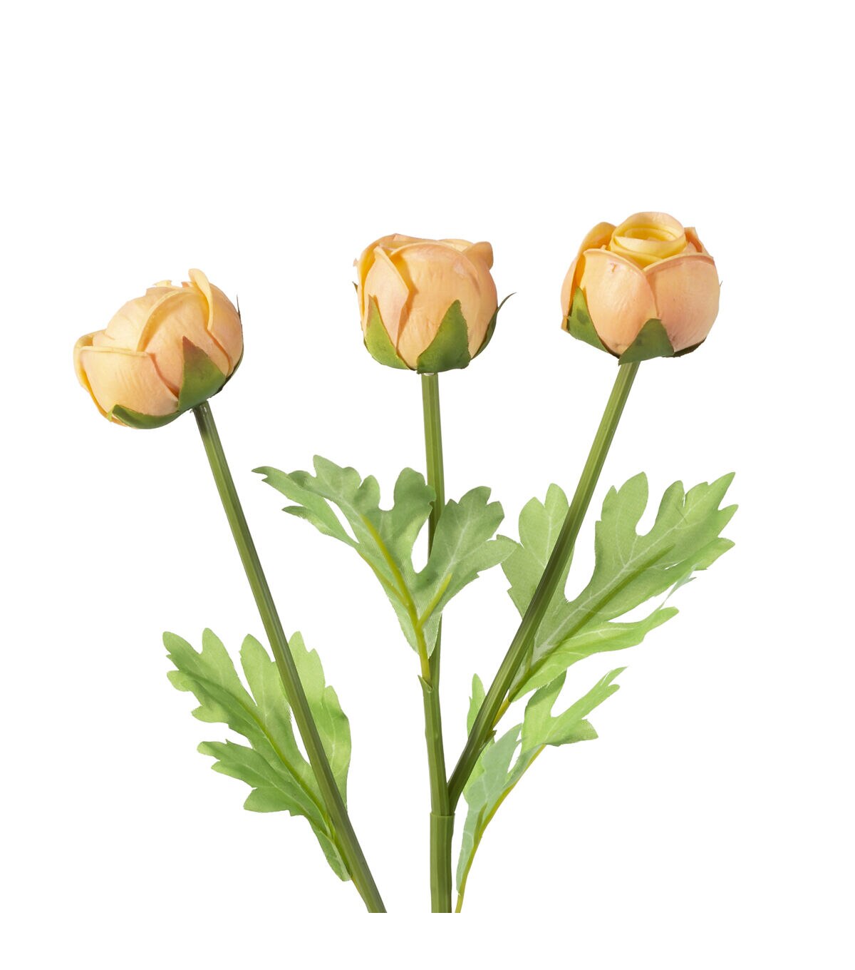 24.5 Peach Ranunculus Stem by Bloom Room