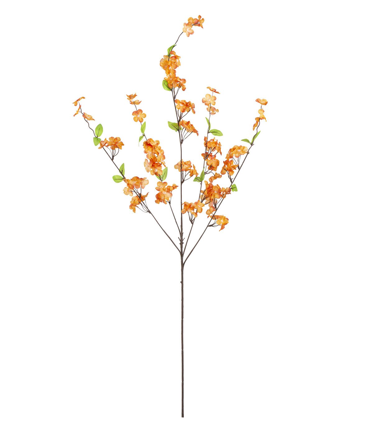 42 Rusty Cherry Blossom Stem by Bloom Room