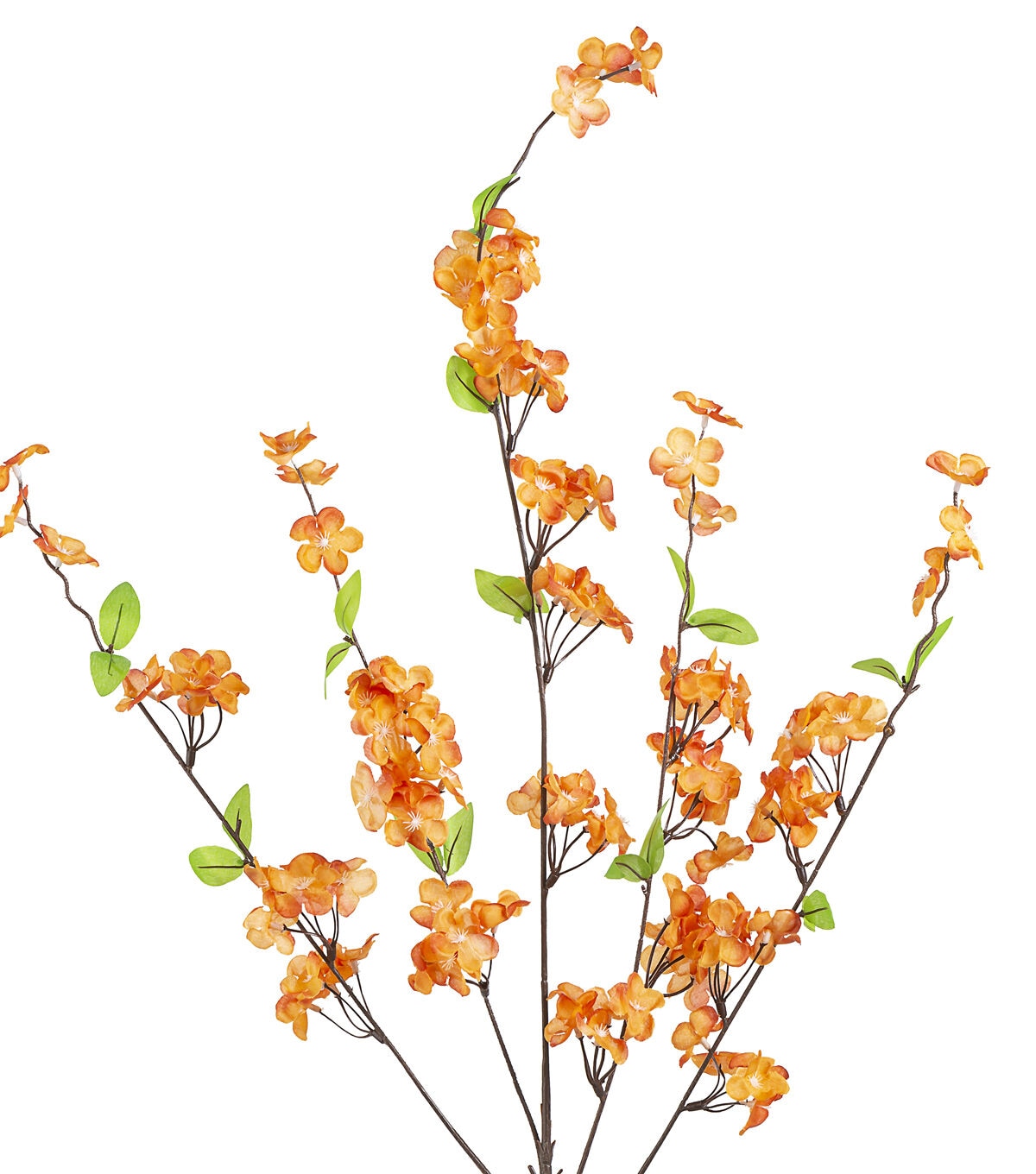 42 Rusty Cherry Blossom Stem by Bloom Room