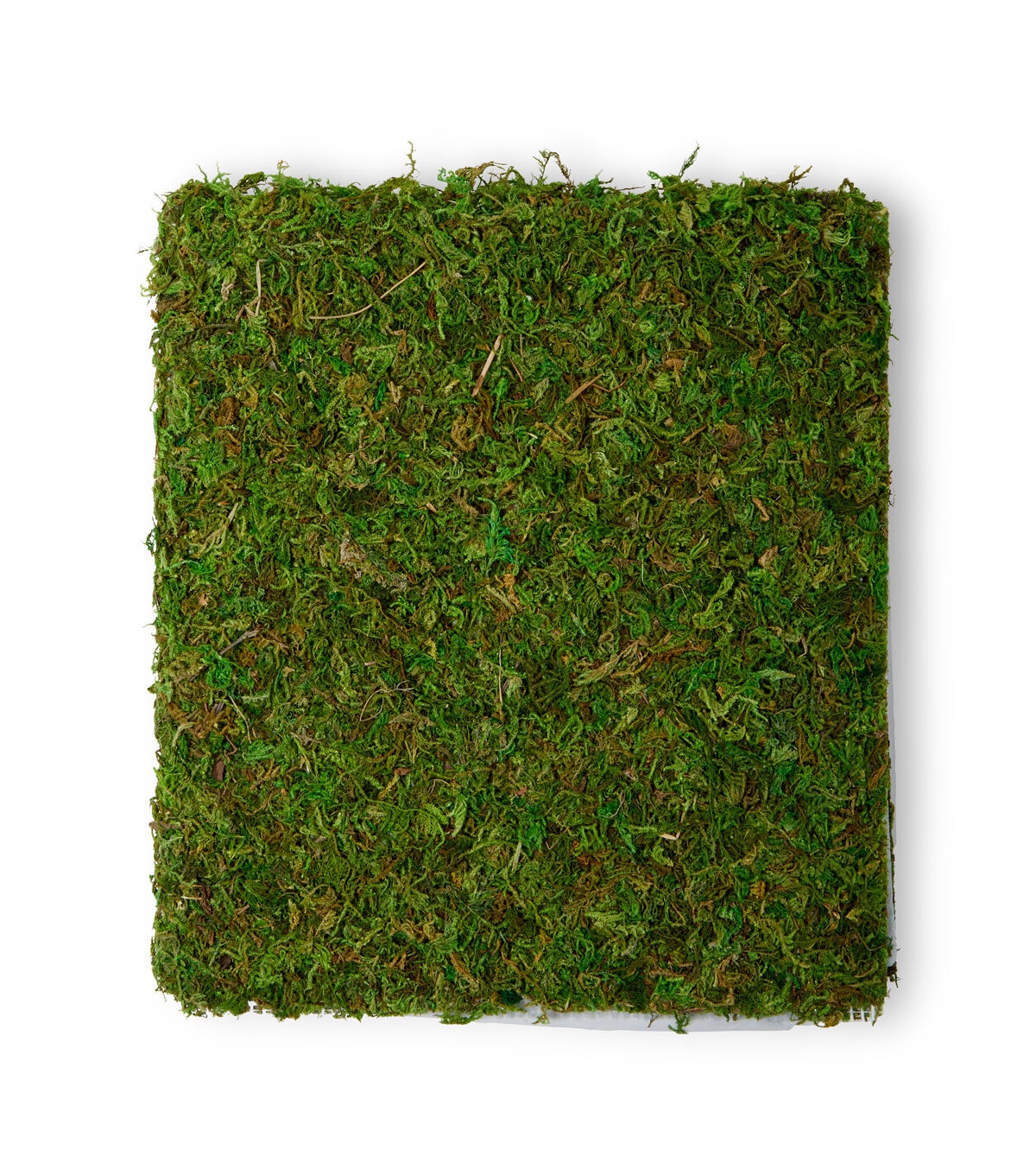SuperMoss 16 x 18 Green All Purpose Moth Mat