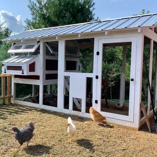 Outdoor Chicken Coop - 6′x12′x7.5′
