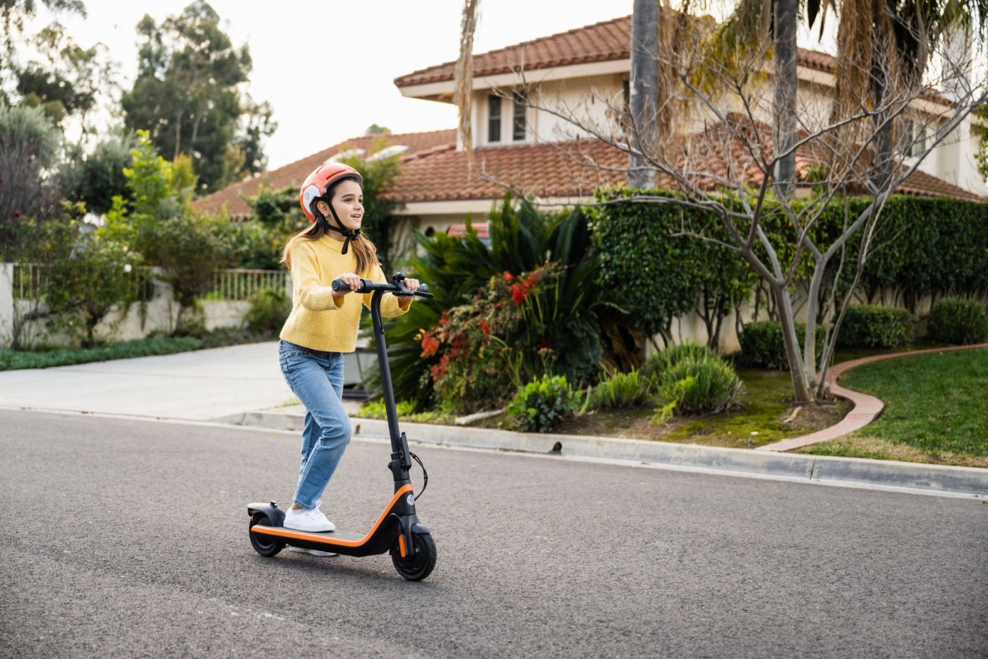 Ninebot KickScooter C2 E Powered by Segway
