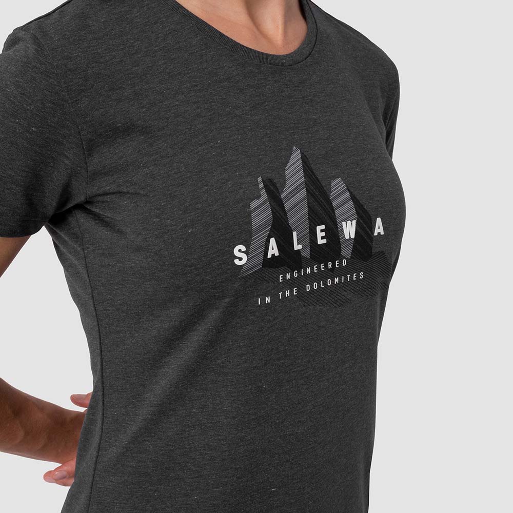 Salewa Lines Graphic Dry Grey Women T-Shirts