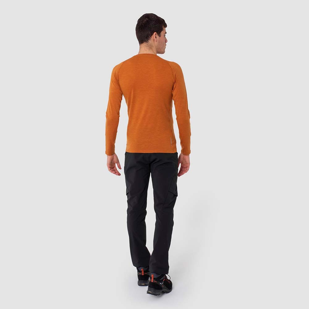 Salewa Pure Logo Alpine Merino Responsive Long Sleeve Orange Men T-Shirts