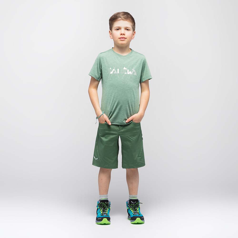 Salewa Graphic Dryton Short Sleeve Green Kids T-Shirts
