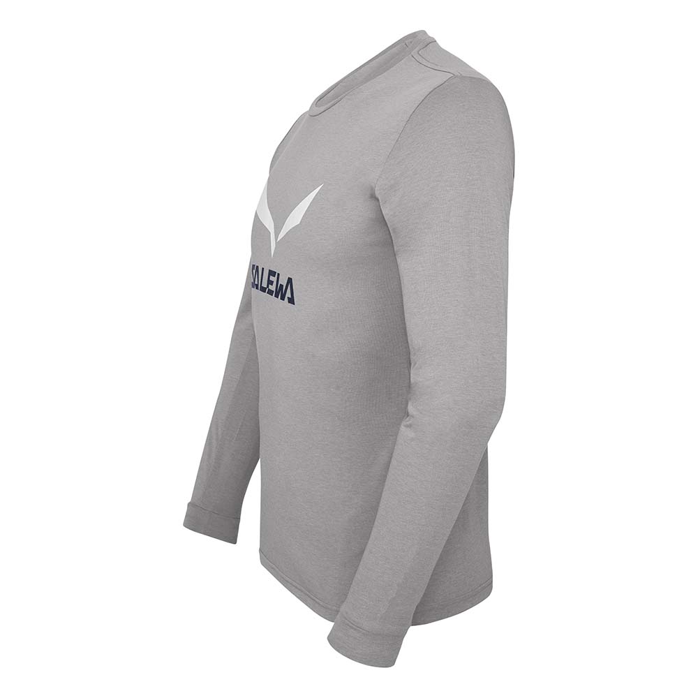 Salewa Solidlogo Dry Long Sleeve Grey Men T-Shirts