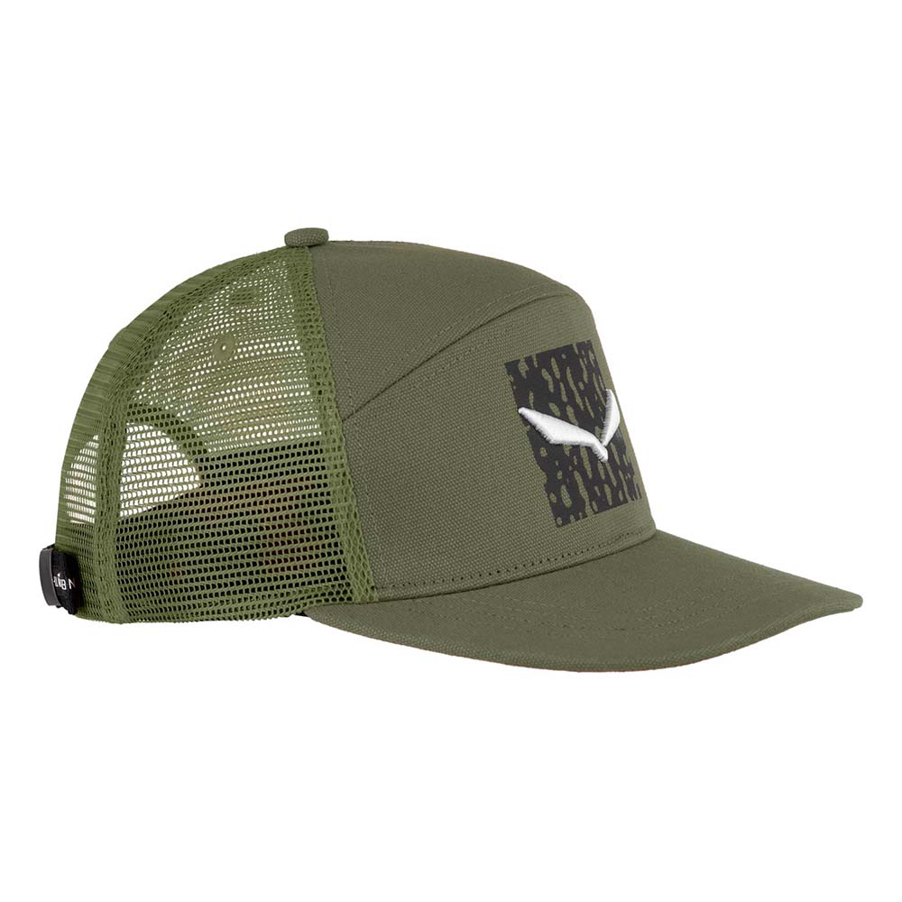 Salewa Pure Sal. Logo Green Men Caps