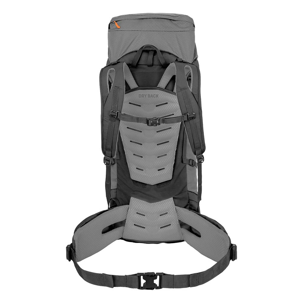 Salewa Alptrek 65+10L Pro Grey Men Backpack