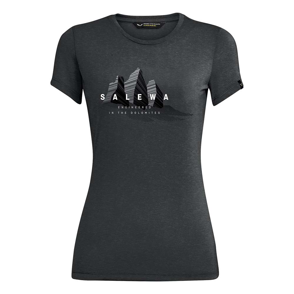 Salewa Lines Graphic Dry Grey Women T-Shirts