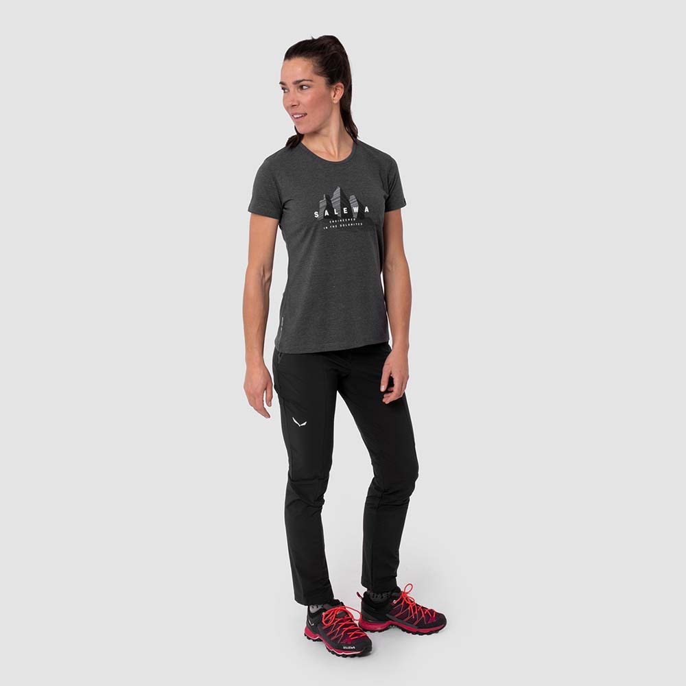 Salewa Lines Graphic Dry Grey Women T-Shirts