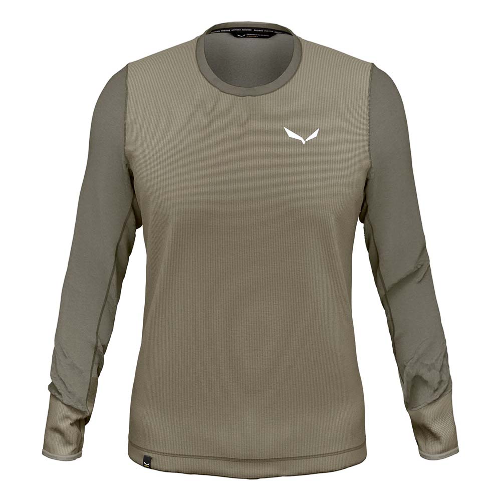 Salewa Alpine Hemp Graphic Long Sleeve Brown Men T-Shirts