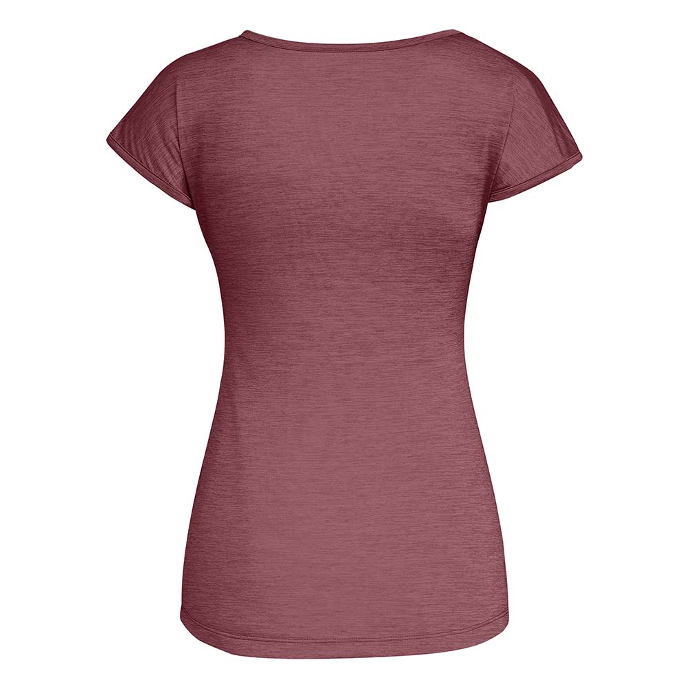 Salewa Puez Melange Dry Pink Women T-Shirts