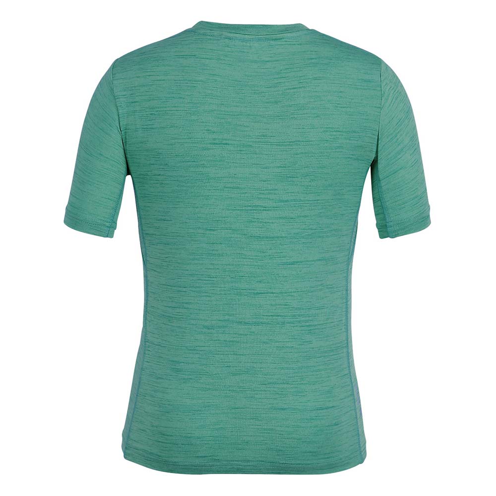 Salewa Graphic Dryton Short Sleeve Green Kids T-Shirts