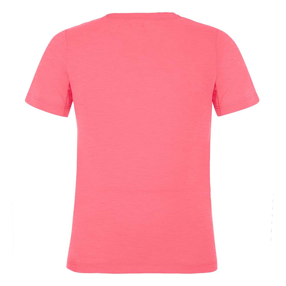 Salewa Graphic Dryton Short Sleeve Pink Kids T-Shirts