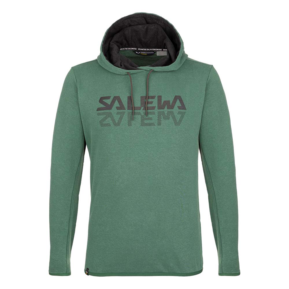 Salewa Puez Hemp Logo Green Men Hoodies