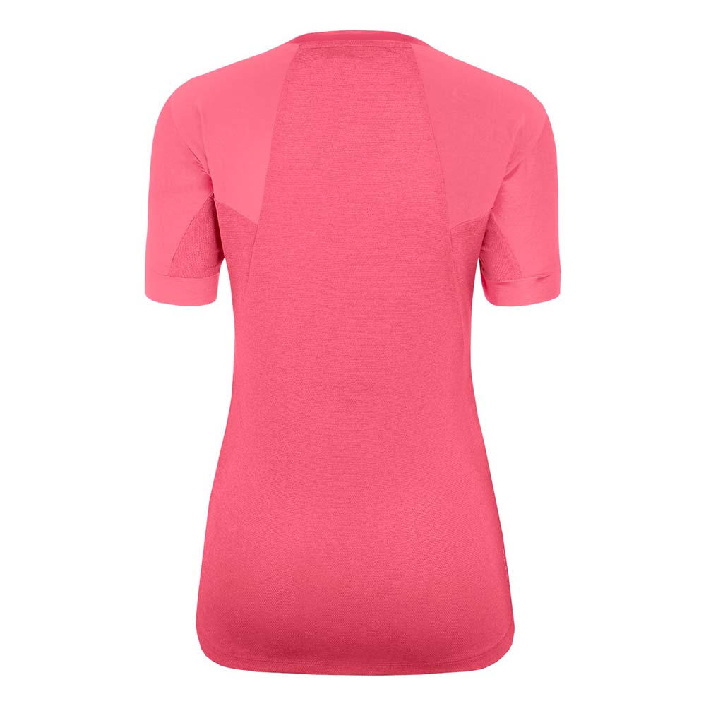 Salewa Seceda Dry Pink Women T-Shirts