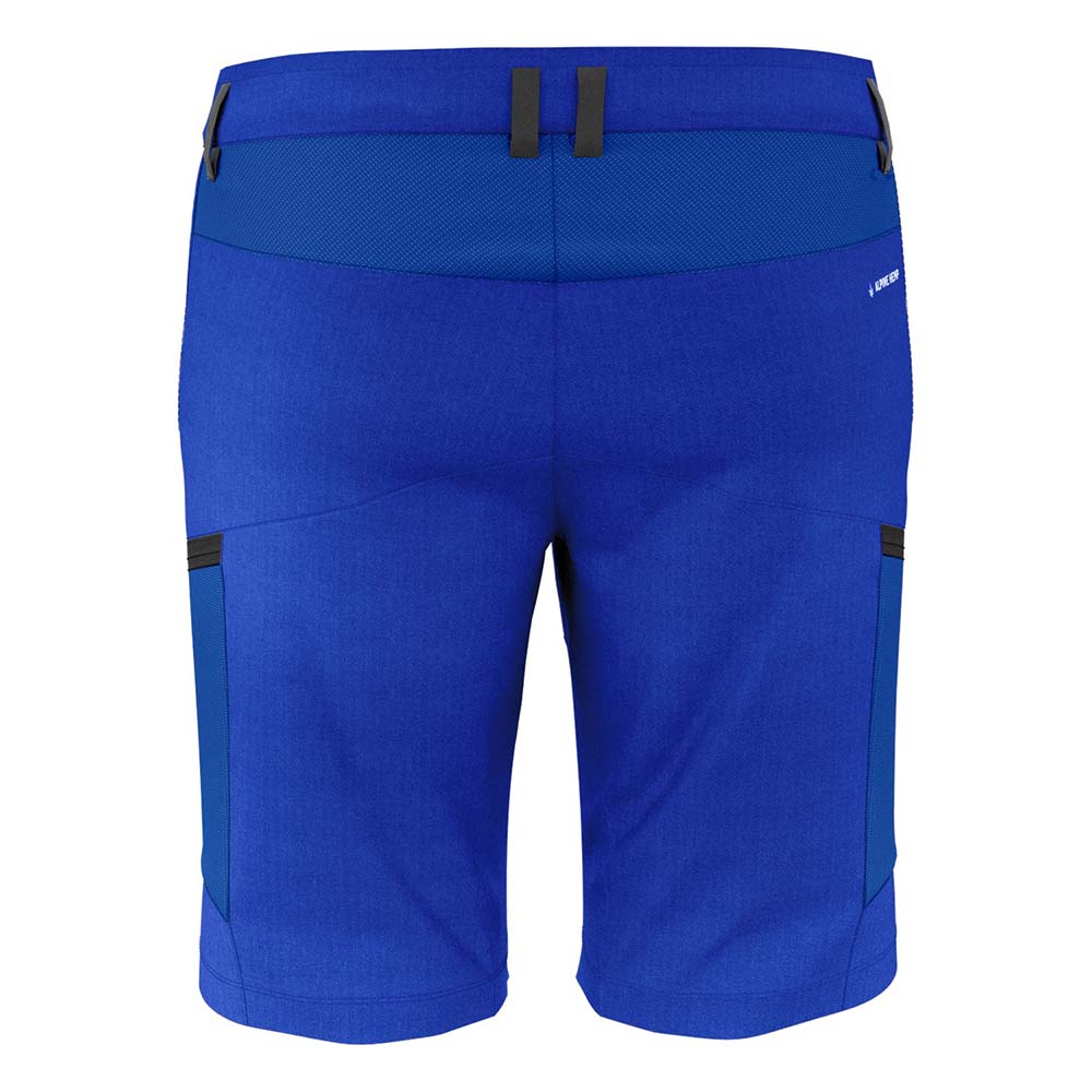 Salewa Alpine Hemp Cargo Blue Men Shorts