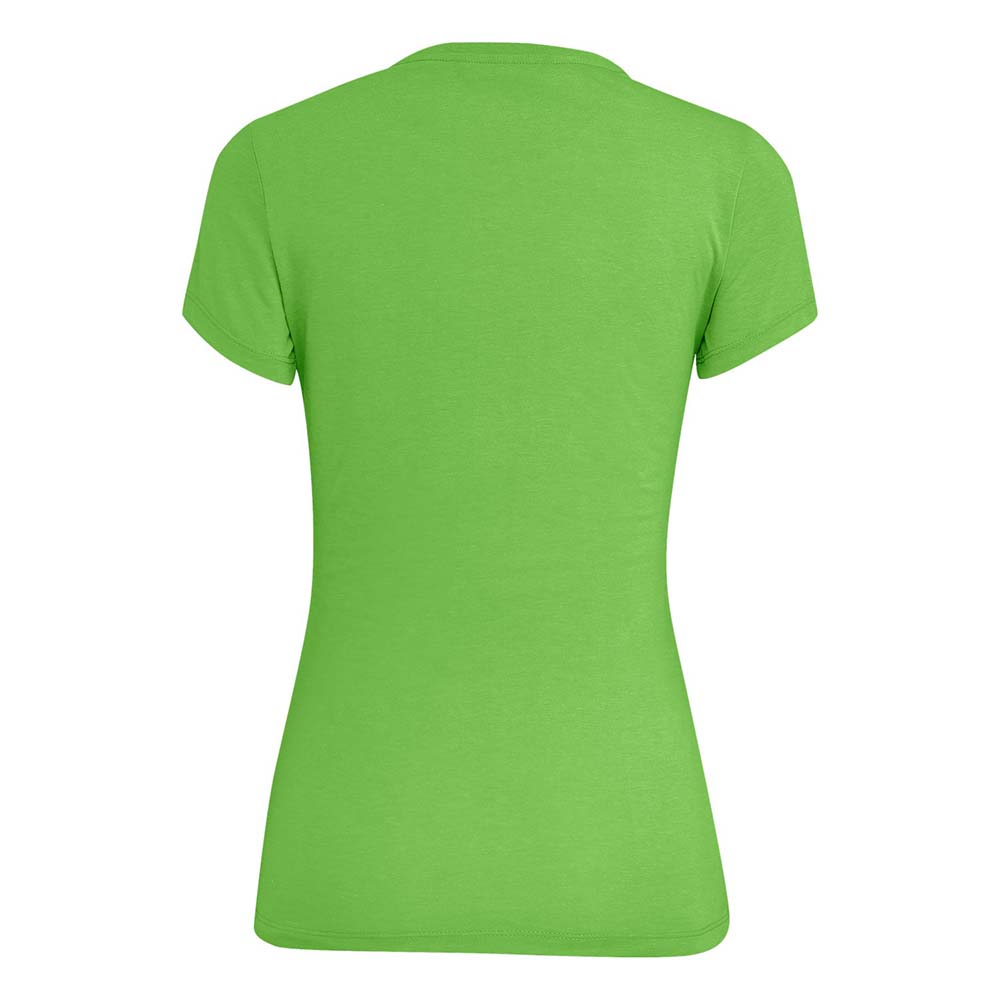 Salewa Graphic Dry Green Women T-Shirts