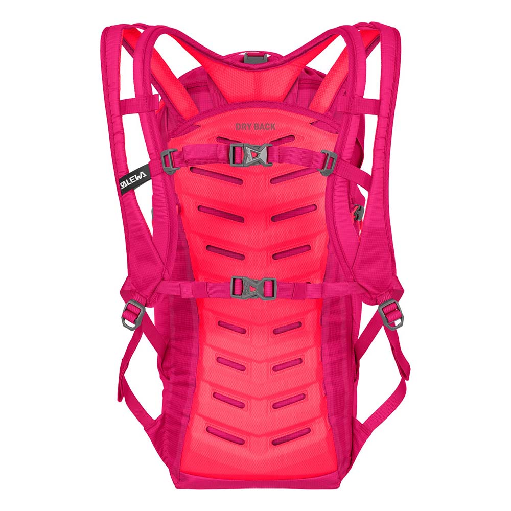 Salewa ltra Train 22L Pink Men Backpack