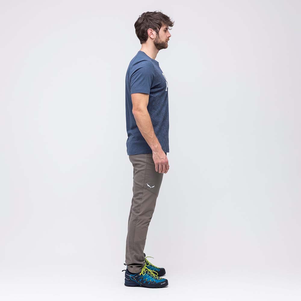 Salewa Alpine Hemp Light Brown Men Pants