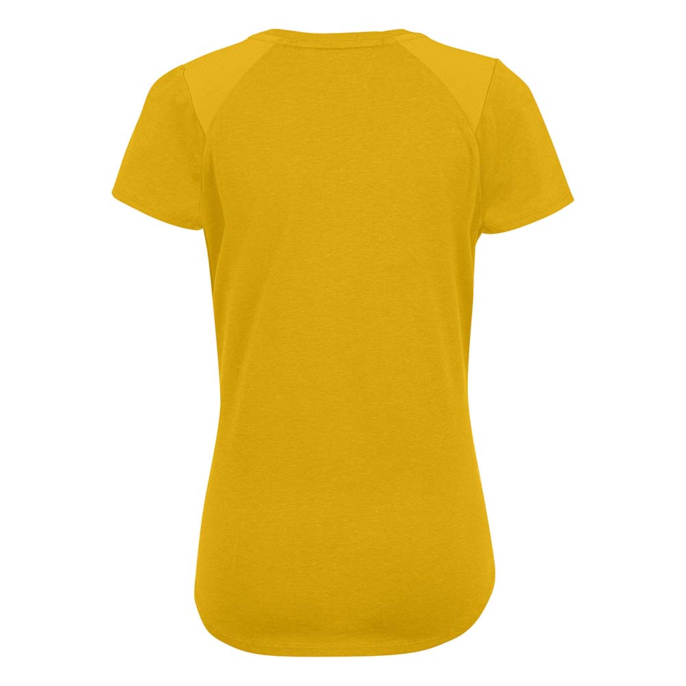 Salewa Alpine Hemp Graphic Yellow/Gold Women T-Shirts