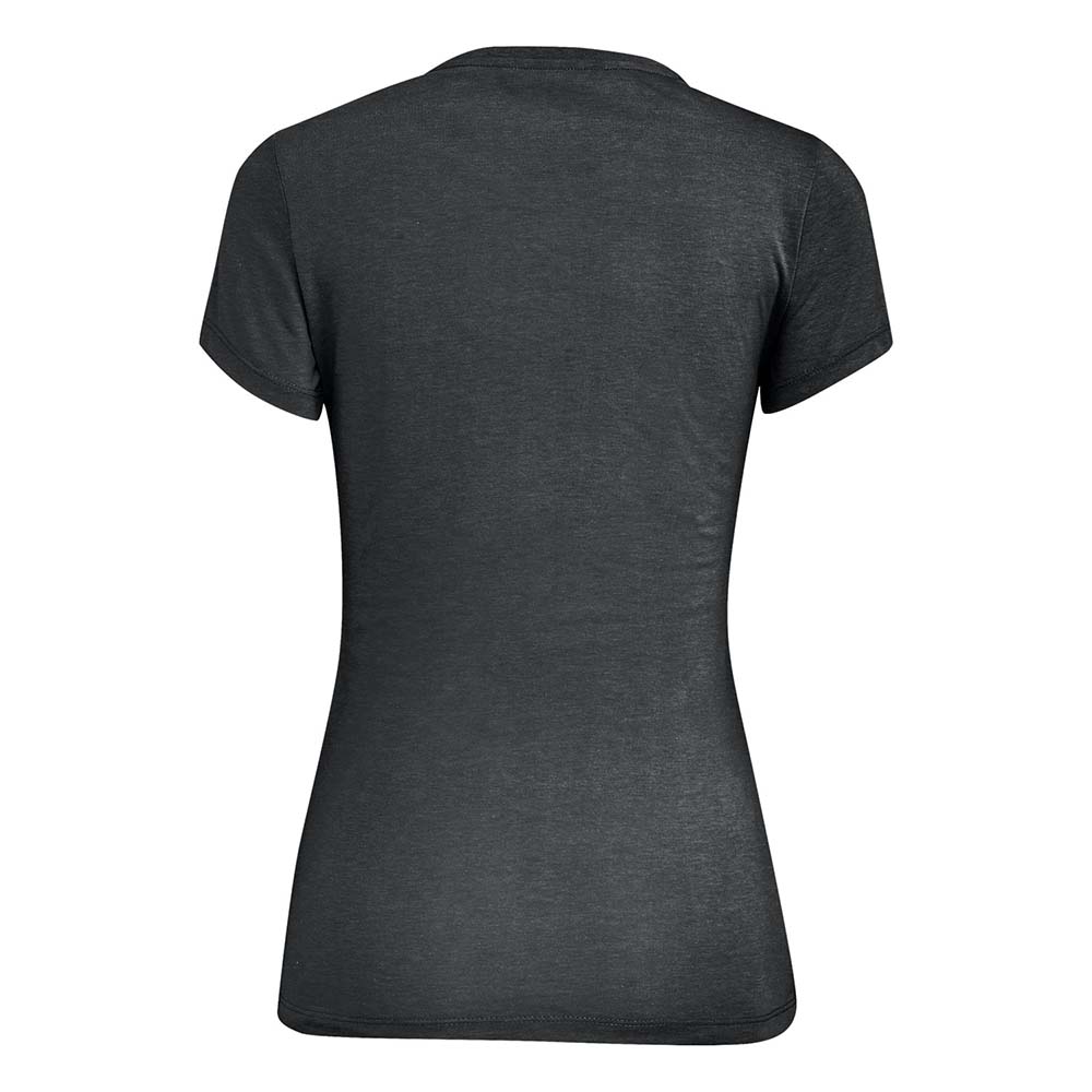 Salewa Lines Graphic Dry Grey Women T-Shirts