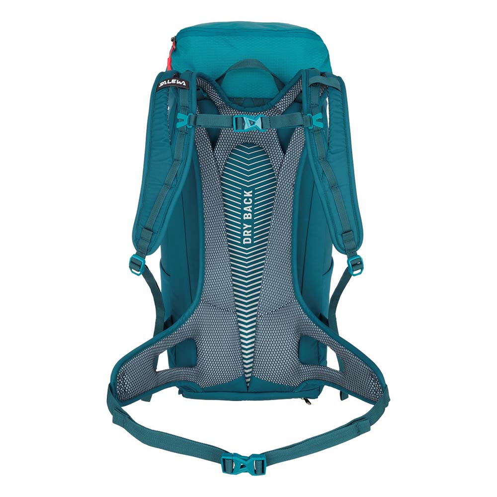 Salewa ALP MATE 30L Blue Men Backpack