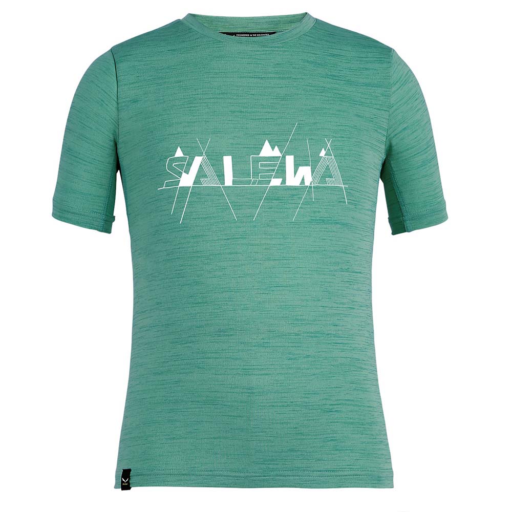 Salewa Graphic Dryton Short Sleeve Green Kids T-Shirts