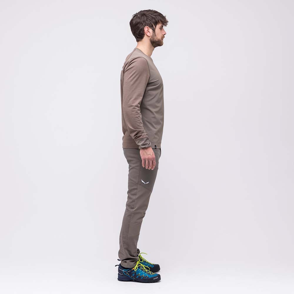 Salewa Alpine Hemp Graphic Long Sleeve Brown Men T-Shirts