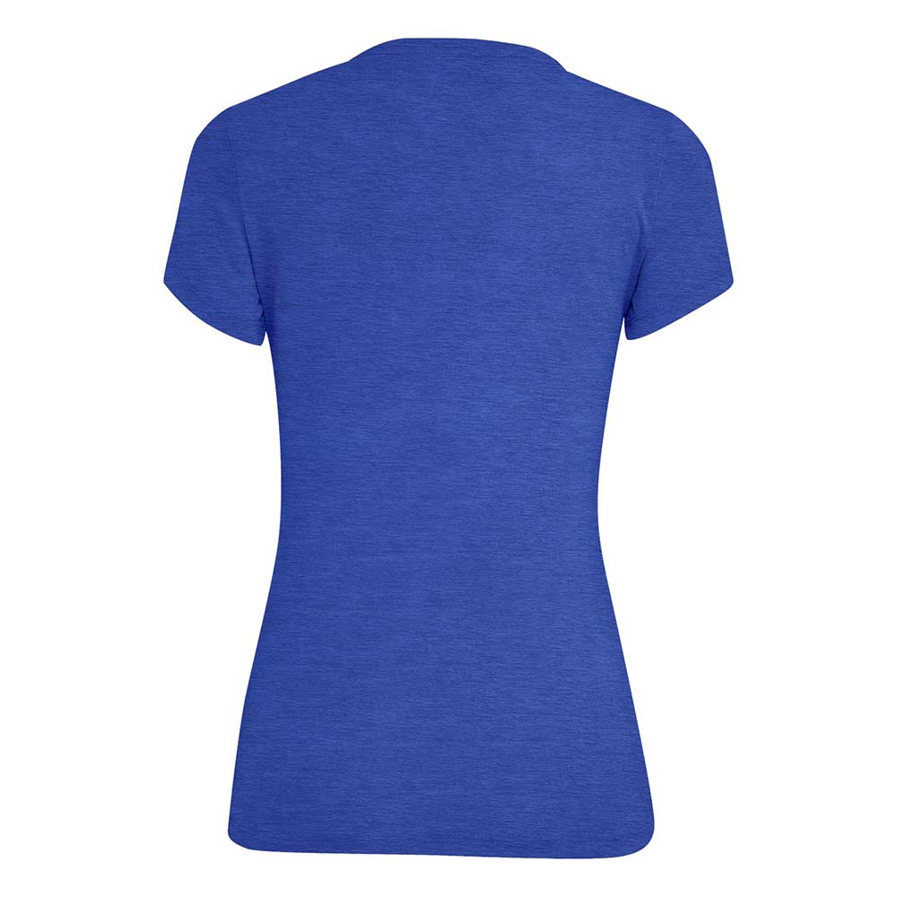 Salewa Graphic Dry Blue Women T-Shirts