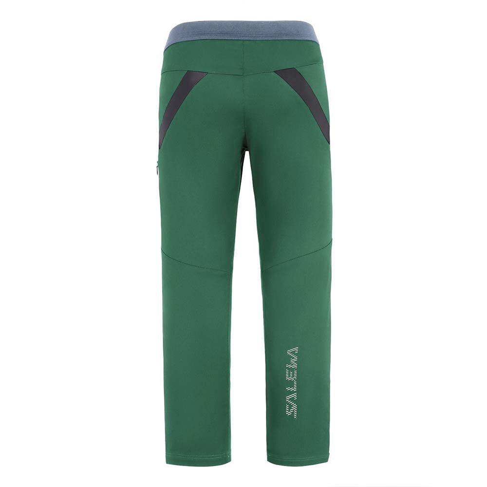 Salewa Agner Movement Cotton Green Kids Pants