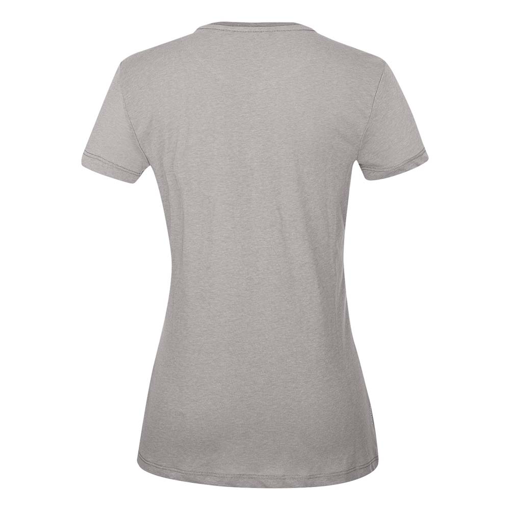 Salewa Frames Dry Short Sleeve Grey Women T-Shirts
